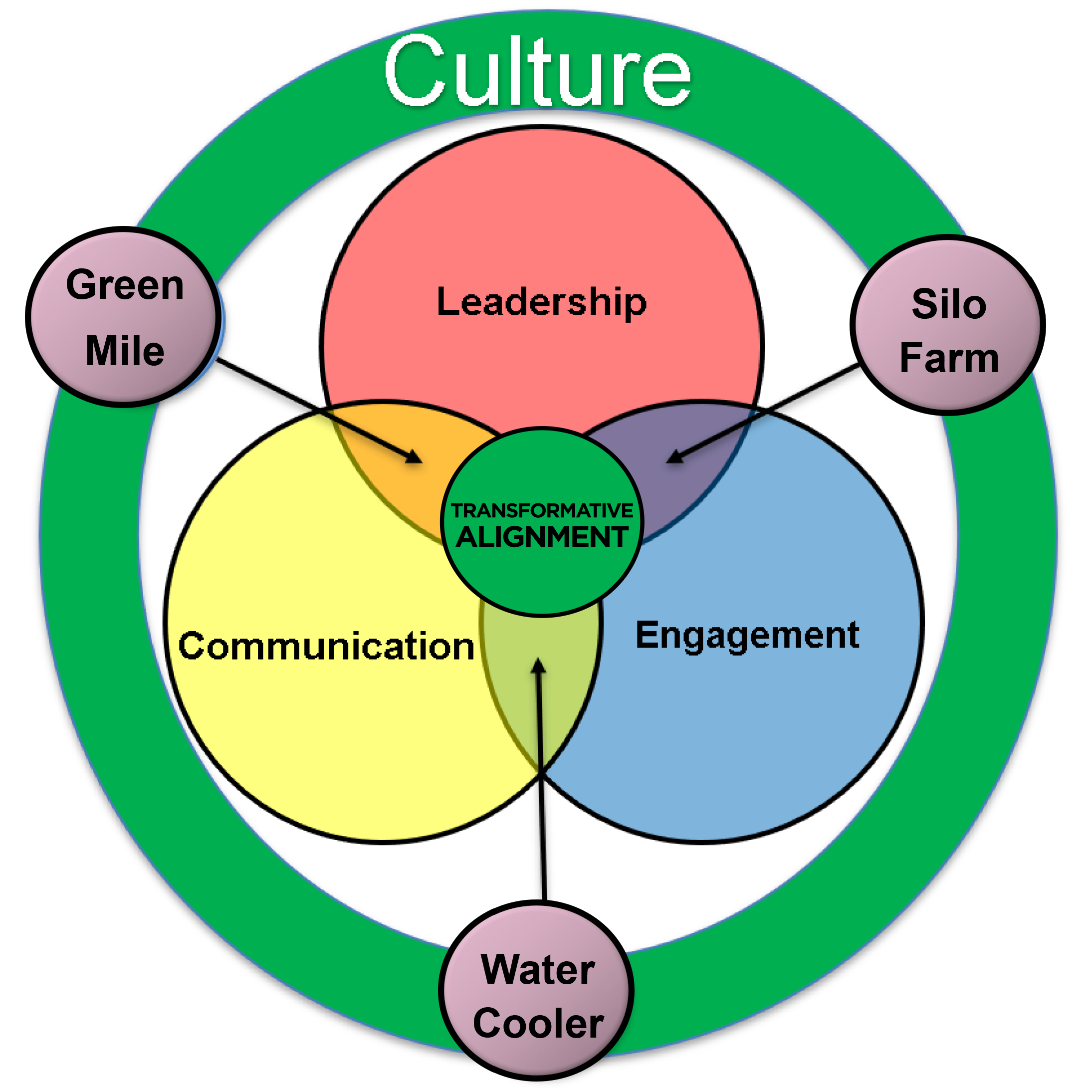 Conceptual Model of<br />
Organizational Culture